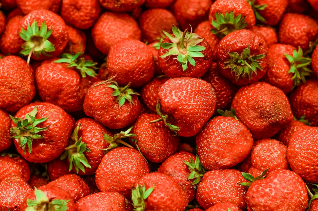 Freshly picked strawberries