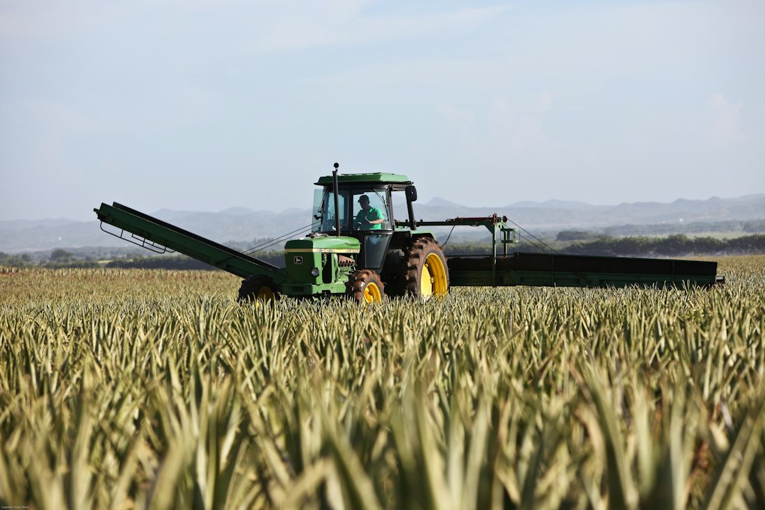 Tractor working a golden field